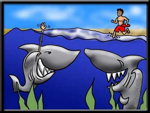 Merienda de socorrista