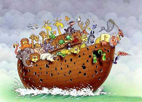 Pájaro carpintero en el arca